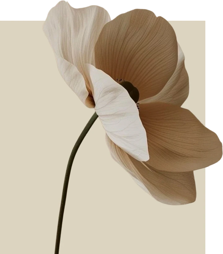 Inon – somatic therapist